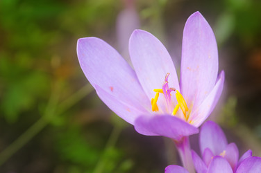 Similar image 10812101