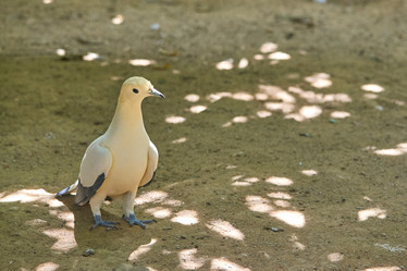 Similar image 10812102