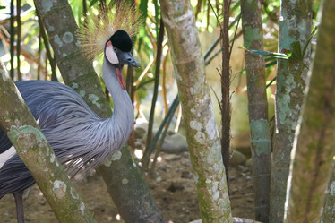 Similar image 10812103