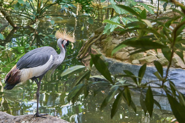 Similar image 10812105