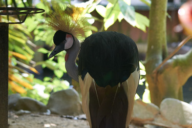 Similar image 10812111