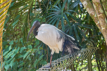 Similar image 10812118