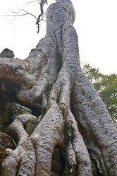 Similar image 10812120