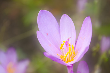 Similar image 10812268