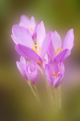 Similar image 10812269