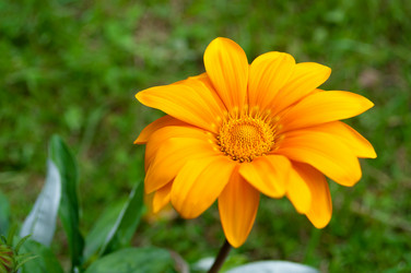 Similar image 10812272