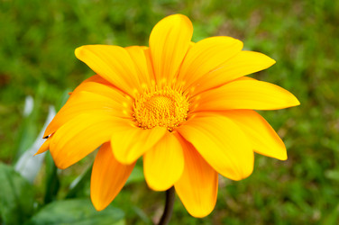 Similar image 10812273