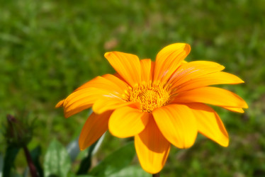 Similar image 10812274