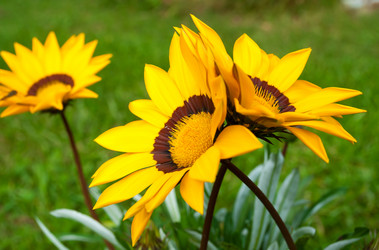 Similar image 10812285