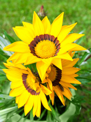 Similar image 10812288