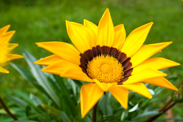 Similar image 10812289