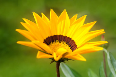 Similar image 10812290