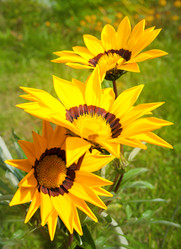 Similar image 10812292