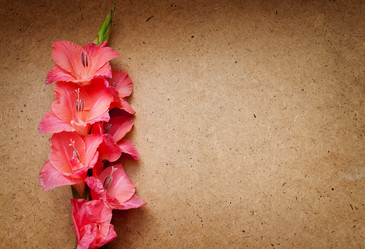 Similar image 10812295