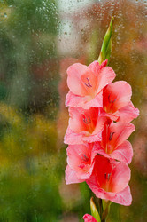 Similar image 10812296