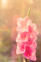 Similar image 10812297