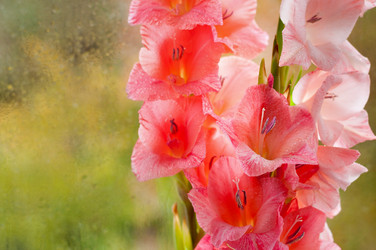 Similar image 10812303