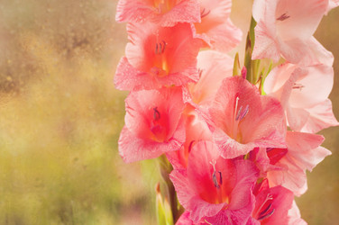 Similar image 10812314