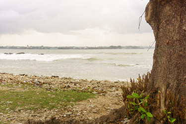 Similar image 10812484