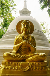 Similar image 10812494