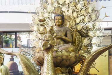 Similar image 10812526