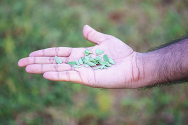 Similar image 10812561