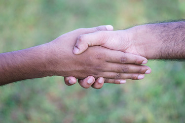 Similar image 10812564