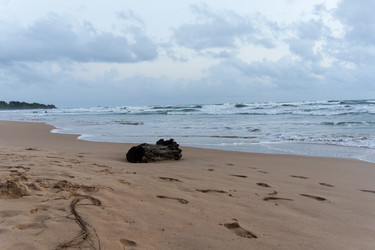 Similar image 10812583