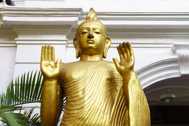 Similar image 10812586