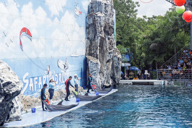 Similar image 10812617