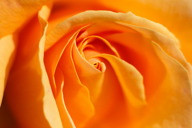 Similar image 10812644