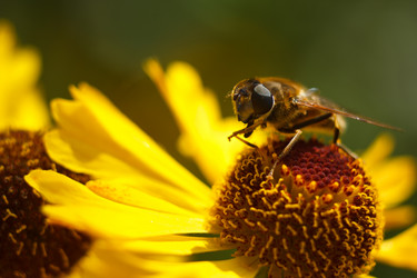 Similar image 10812651