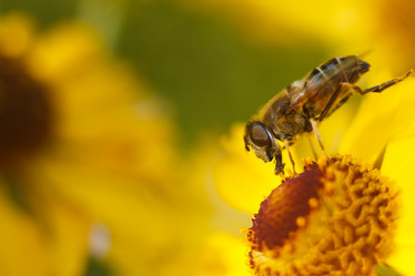 Similar image 10812653