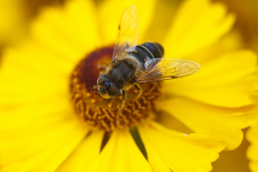 Similar image 10812654