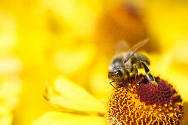 Similar image 10812656