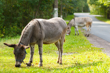 Similar image 10812658