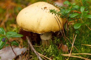 Similar image 10812665