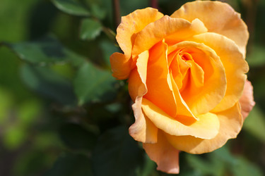 Similar image 10812666