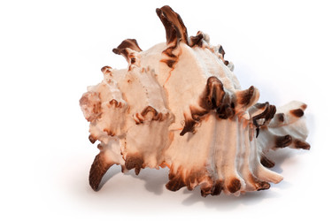 Similar image 10812667