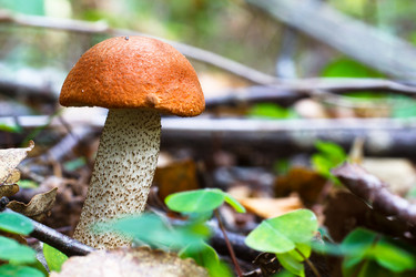 Similar image 10812701