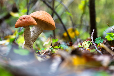 Similar image 10812703