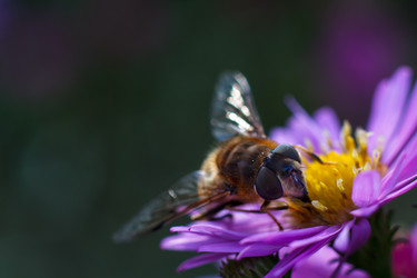 Similar image 10812707