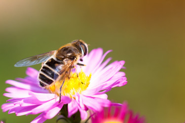 Similar image 10812711