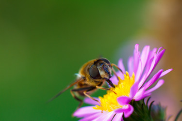 Similar image 10812716