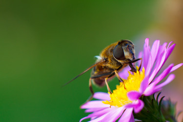 Similar image 10812718