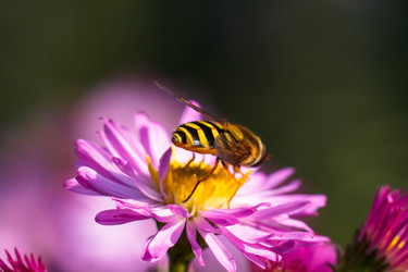 Similar image 10812720