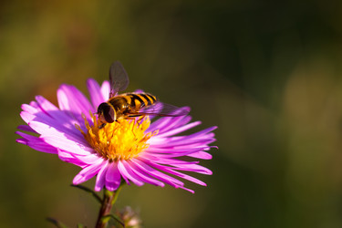 Similar image 10812724