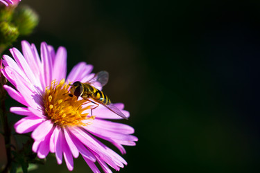 Similar image 10812725