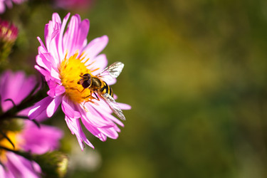 Similar image 10812754