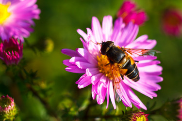 Similar image 10812756